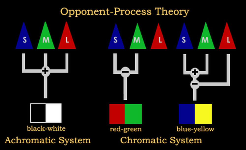 What Is Opponent Process Theory Of Color Vision