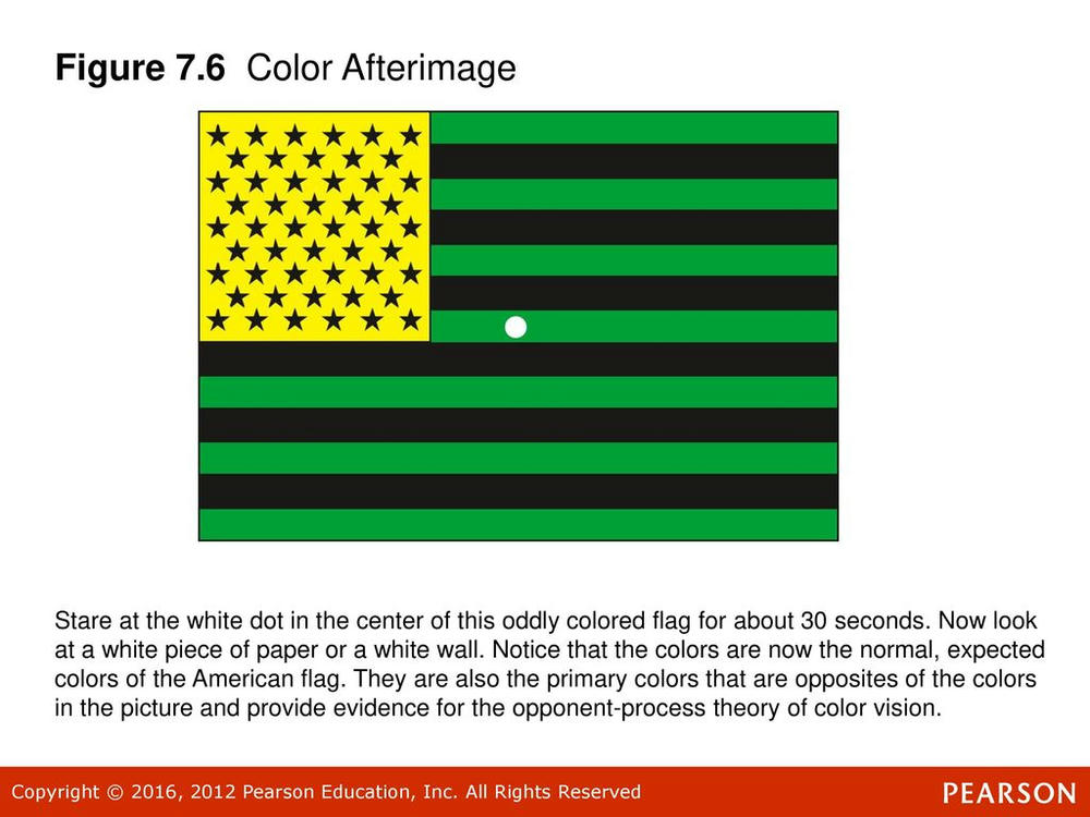 normal-color-vision-test-results-enchroma-color-blind-test