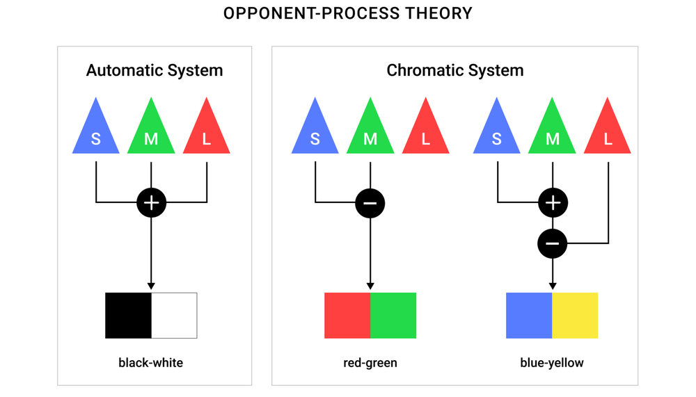 making-sense-of-the-opponent-process-theory-of-color-vision-ages-and-orbs